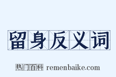 留身反义词是什么意思的图片